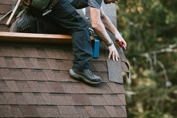 Best Roof Gutter Cleaning  in Lakes West, CT
